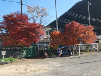 11月22日は，すげのこまつり