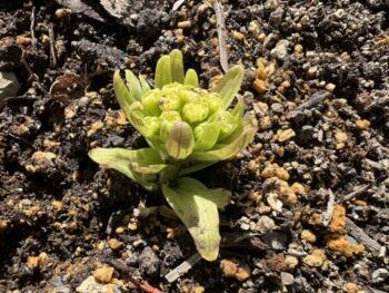 よいしょ，よいしょ。外が見たいな。