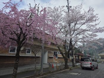 令和８年度 新任式・始業式・入学式準備